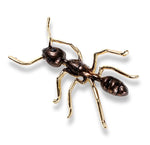 Load image into Gallery viewer, Ant Brooch
